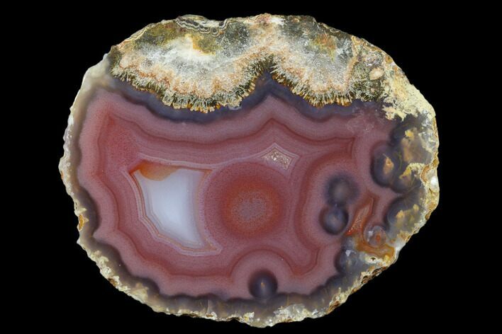 Polished Moctezuma Agate Nodule Half - Chihuahua, Mexico #184919